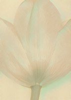 A Touch of Tulip - Yellow