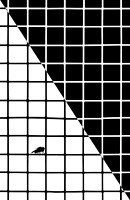 Fly Pattern