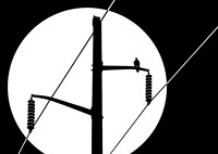 Pole Vultures