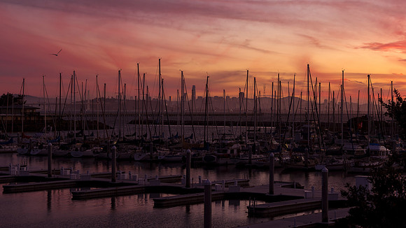 Berkeley Marina Sunset