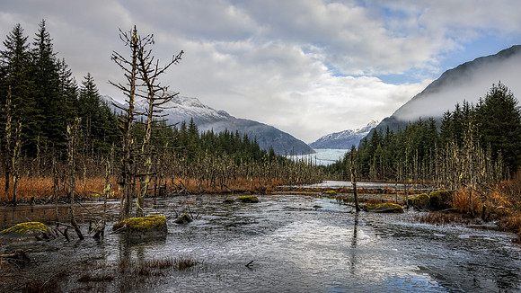 Mendenhall Valley View