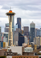 Cranes and Needle