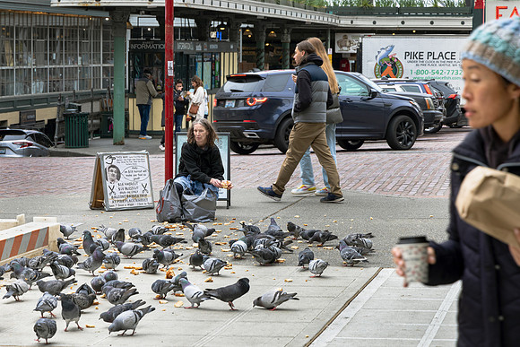 Feeding Zone