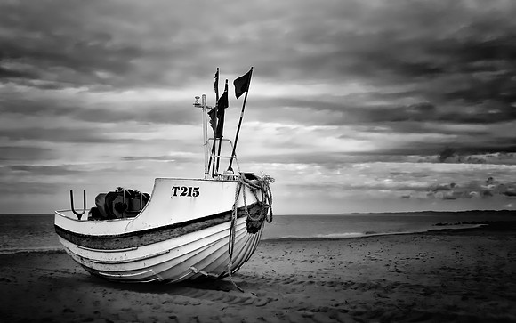 Boat T215