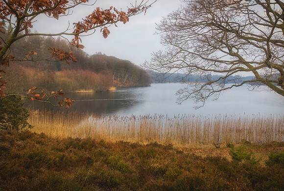 Hald Sø / Hald Lake