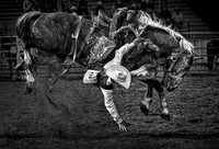 Bucking Bronco