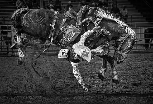 Bucking Bronco