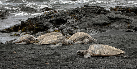 Punaluʻu Black Sand Beach