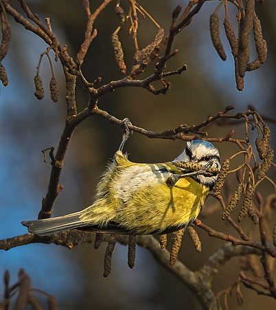 Reaching for a Bite