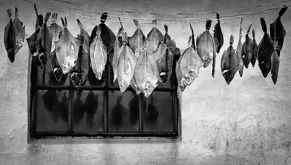 Drying Fish on a String