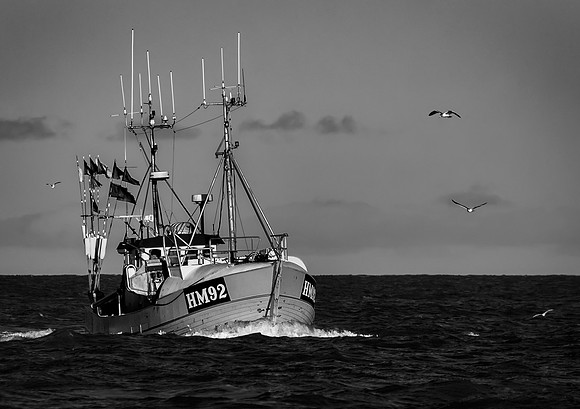 Fishing Boat