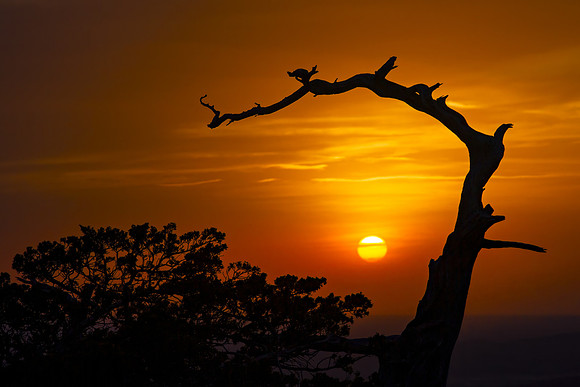 Sundown Silhouette
