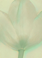 A Touch of Tulip - Green