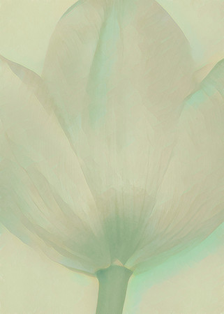 A Touch of Tulip - Green