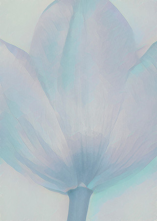 A Touch of Tulip - Blue