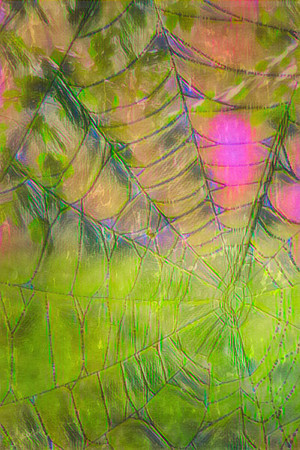 Web of Color