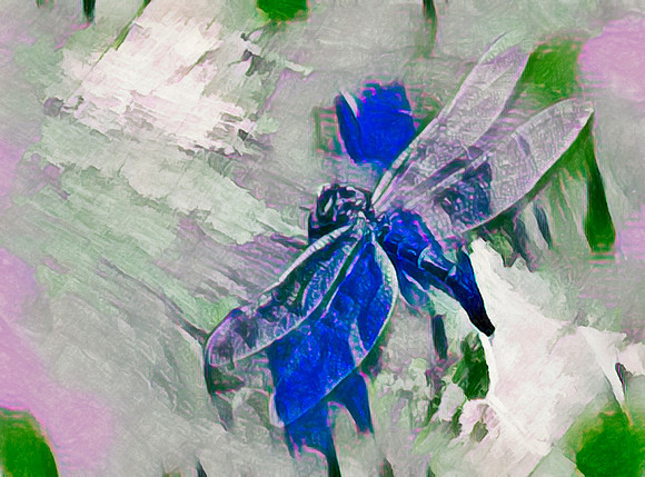 Dragonfly Spirit