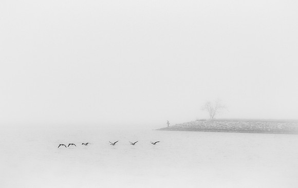 Foggy Morning