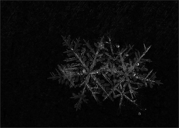 Snowflakes