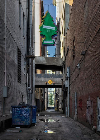 Spruced Up Alley