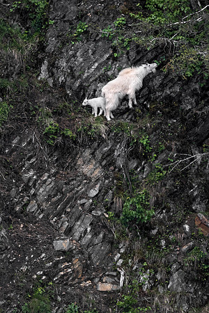 Life on the Edge