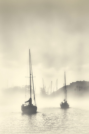 Foggy Harbor