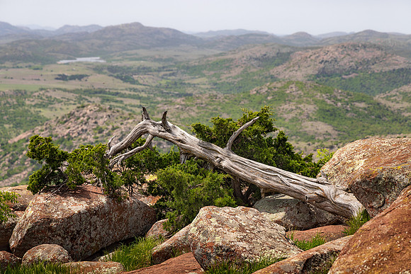 View From Mount Scott