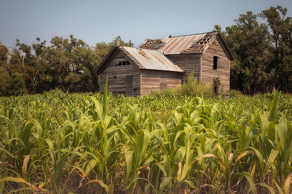 Abandoned Farmhouse